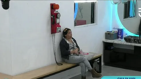 El increíble premio que recibió Pincoya en el Teléfono Rojo