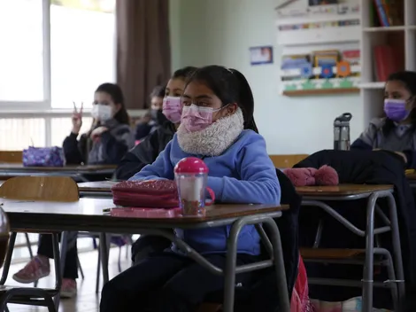 Resultados SAE 2024: ¿Qué pasa si no quedaste en ningún colegio?