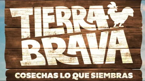 El reality de Canal 13 tuvo nuevos eliminados.