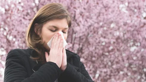 Alergia a la primavera