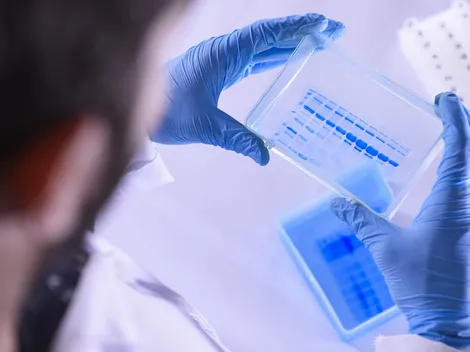 ¿Cuánto gana un químico farmacéutico en Chile?