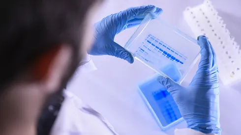 Químico farmacéutico