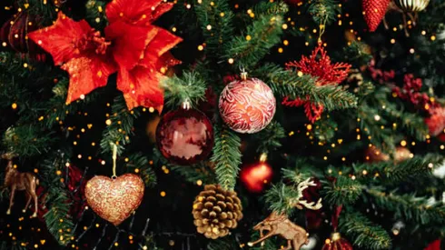 Anota esta deliciosa receta de cola de mono; Ingredientes y paso a paso.