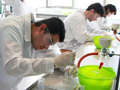 ¿Cuáles son las carreras universitarias con mejor y peor empleabilidad?