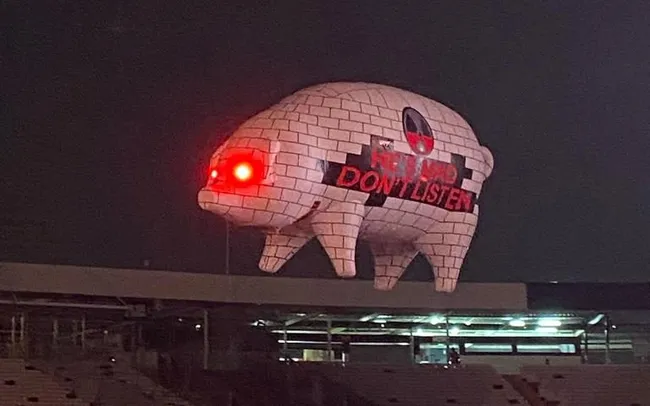 Imagen: Vicente Guzmán