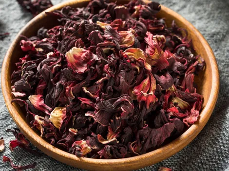 ¿Dónde comprar Flor de Jamaica en Chile?