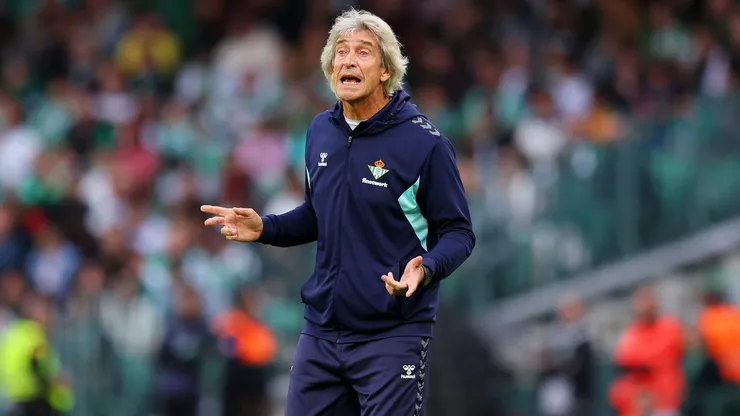 Manuel Pellegrini