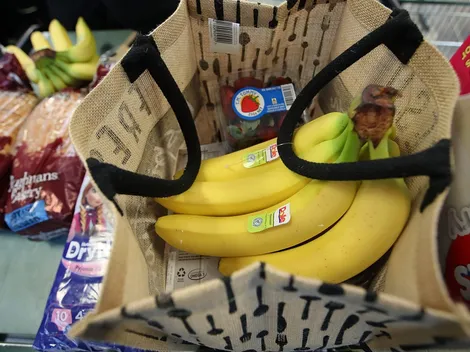 ¿Cuáles son los requisitos para recibir el Bolsillo Electrónico?