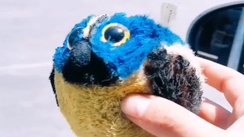 "Tiene olor a tempera": Estafan a padre con su hija por peluche de Fiu falso.
