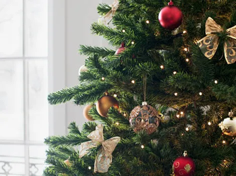 ¿Cuándo se arma el arbolito de Navidad y cuál es el origen?