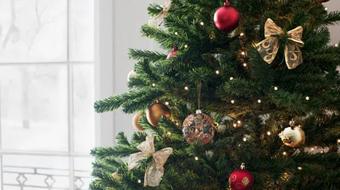 Origen del árbol de navidad