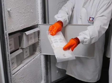 Primera muerte del año por virus Hanta en RM: Síntomas y cómo se contagia