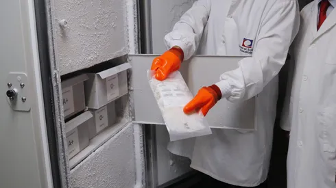 Primera muerte del año por virus Hanta: Síntomas y cómo se contagia.