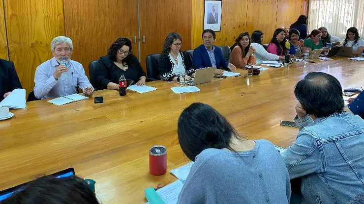 La subsecretaria de Educación, Alejandra Arratia, se reunió con representantes del Colegio de Profesores.