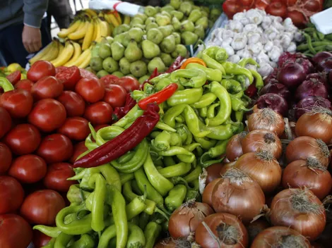 ¿Cuántos pagos le quedan al Bolsillo Familiar? Revisa hasta cuándo lo dan