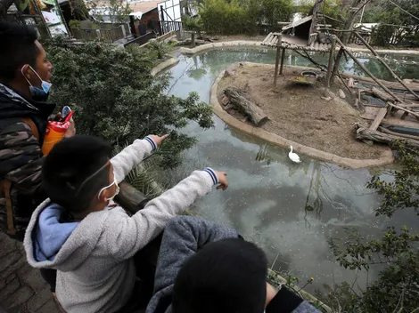 ¿Qué panoramas hay en Santiago?