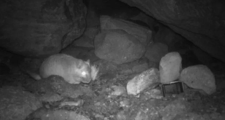 Imagen: U. de Tarapacá