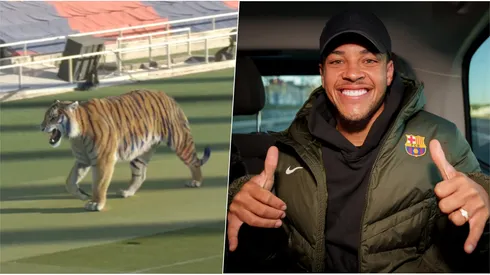 Barcelona presenta con un tigre a su nuevo refuerzo: Vitor Roque.