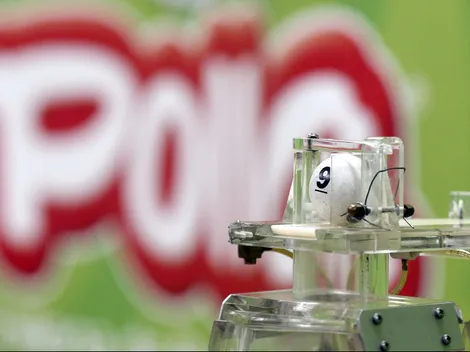 ¿Cómo participar en los últimos sorteos de La Suerte en Chile?