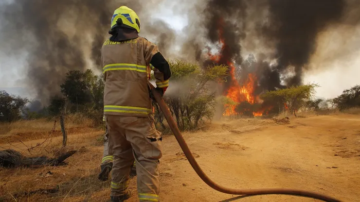 Incendio Forestal