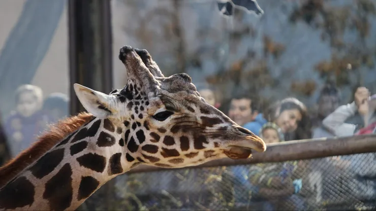 Zoológico Nacional