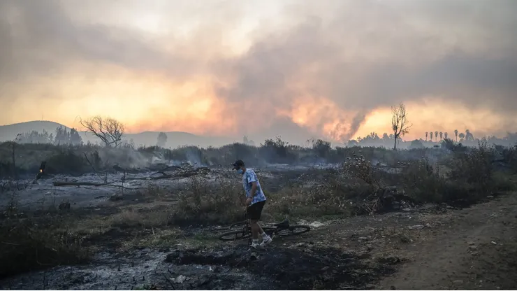 Limache, 9 de diciembre 2023 Un gran incendio forestal que afecta la comuna de Limache que a consumido 450 hectareas. Jose Veas/Aton Chile