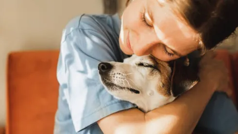 Línea de buses permite viajar con la mascota