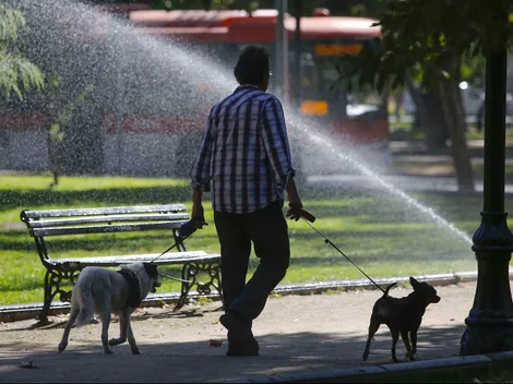 ¿Cómo refrescar a un perro?