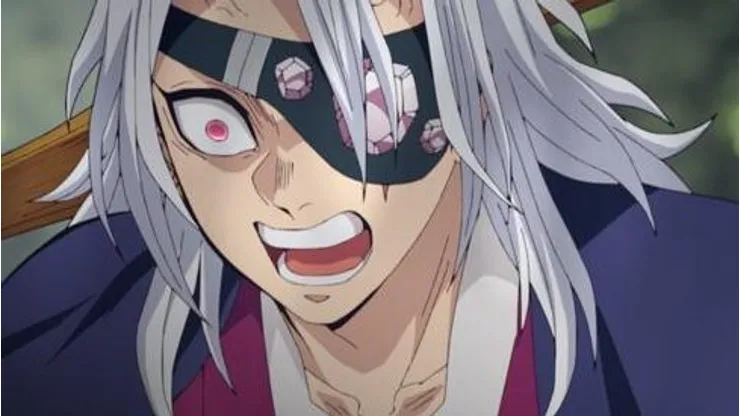 Demon Slayer: To the hashira training