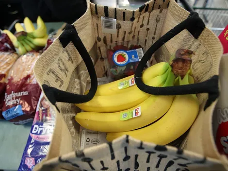 Este día se pagará el último Bolsillo Familiar Electrónico