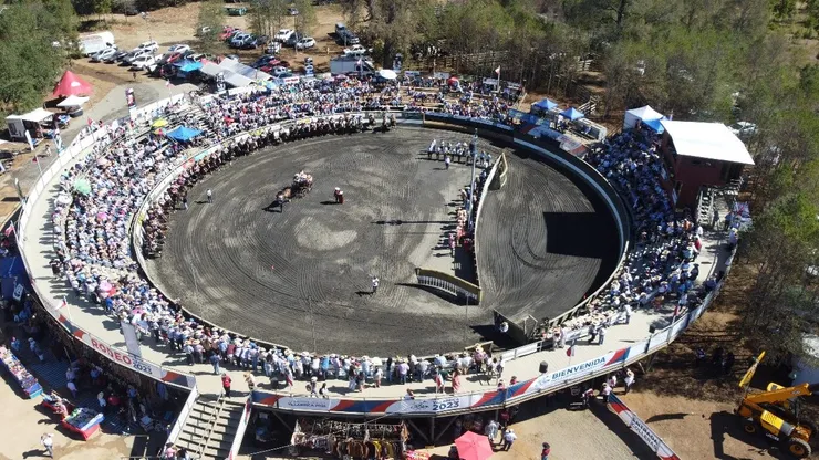 Los jinetes del Criadero Peleco van al Champion de Chile.