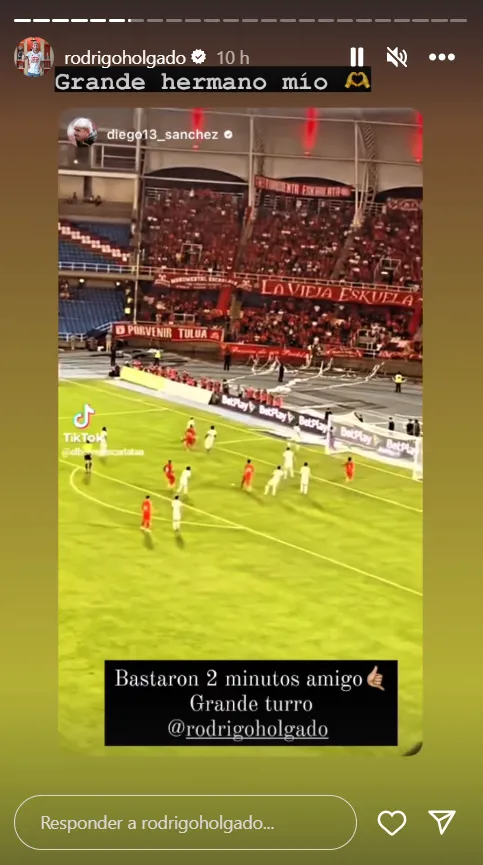La felicidad del Mono Sánchez por el gol de Rodrigo Holgado. (Captura Instagram).