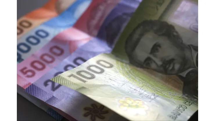 Pago del Ingreso Mínimo Garantizado