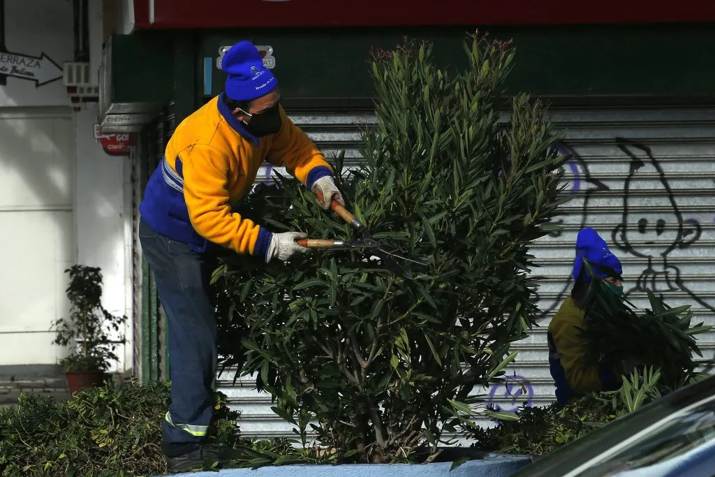 Los solicitantes del autopréstamo deben encontrarse a más de cinco años de su edad legal de pensión. (Foto: Sebastian Cisternas-Aton)