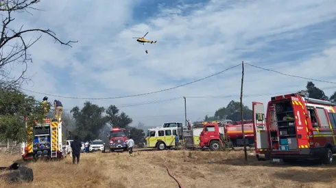 El incendio ha afectado actualmente a 4 hectáreas aproximadamente.