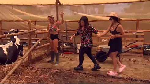 ¿Expulsarán a Fran Undurraga por pelea con Angélica en Tierra Brava?