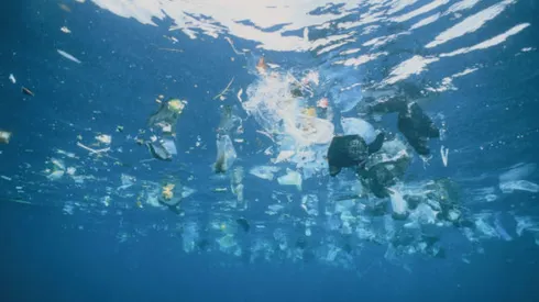Conoce qué son los microplásticos y si son dañinos para la salud.