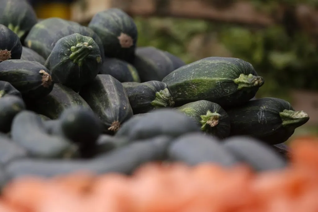 Santiago, 24 de diciembre de 2023
Santiaguinos asisten a ferias libres para realizar las ultimas compras previo a la cena de noche buena.
Jonnathan Oyarzun/Aton Chile