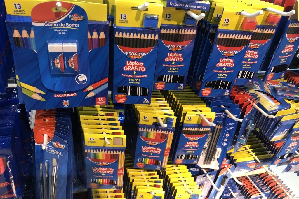 Imagen: Dragomir Yankovic/Aton Chile