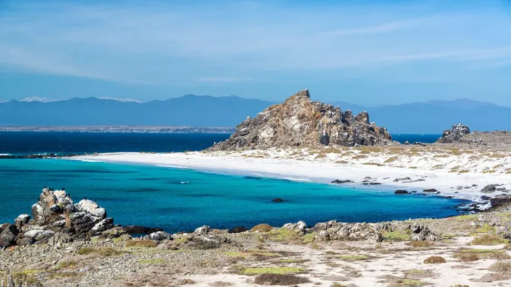 Lugares para ir de vacaciones: ¿Cómo llegar a Punta de Choros?