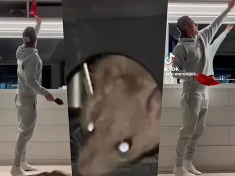 La dura batalla de Toni Kroos para sacar a un ratón de su casa