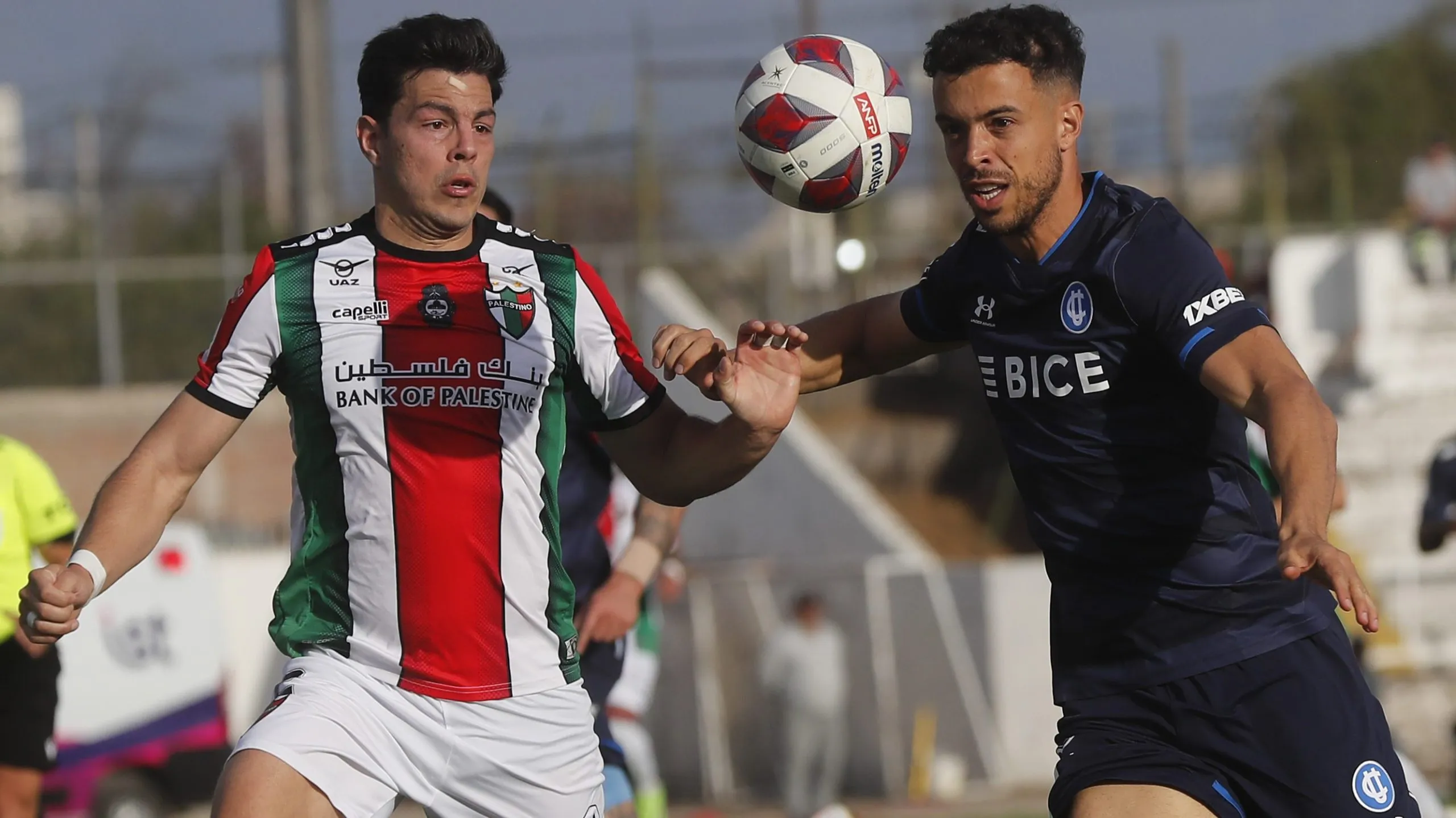 Fernando Meza estuvo en Palestino el año pasado (Photosport)