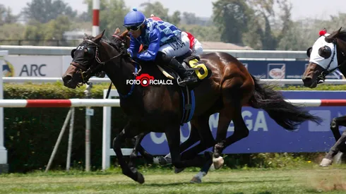 Escándalo en la hípica: la yegua Siete de Abril ganó, pero era otro ejemplar