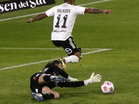 "El verdadero gato argentino": Batalla es presentado en Europa