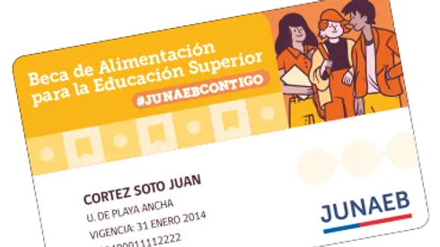 ¿Cuándo cargan la Junaeb en enero y febrero y a quiénes?