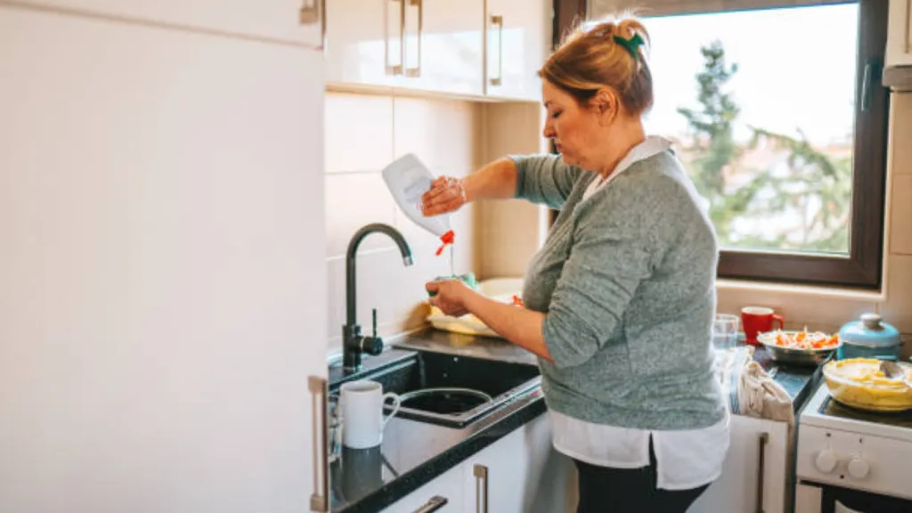 Bono Dueña de Casa.