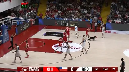 Un perro fue protagonista del histórico triunfo de Chile a Argentina.