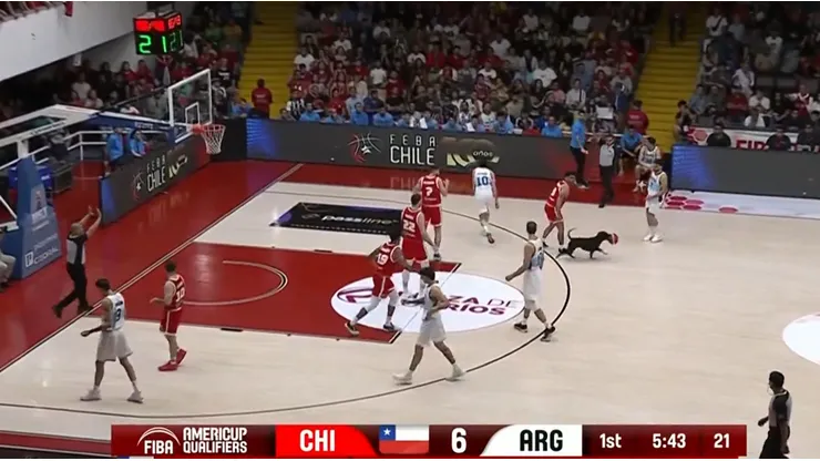 Un perro fue protagonista del histórico triunfo de Chile a Argentina.