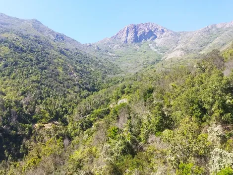 ¿Lo conoces? El subsidio para comprar un terreno que existe en Chile