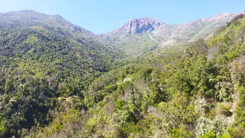 Imagen de referencia.